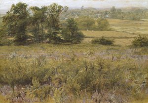 Furze Field, 1800-luku (akvarelli)